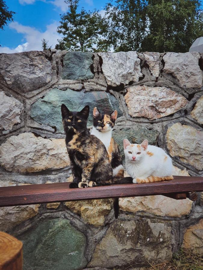 Apartmani Stari Gaj Zabljak  Luaran gambar